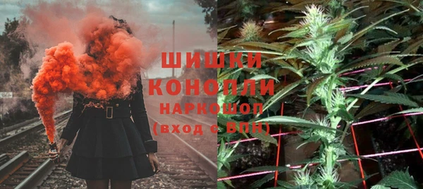 стаф Кущёвская