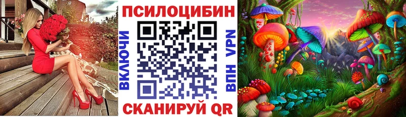 Галлюциногенные грибы Cubensis Пушкино