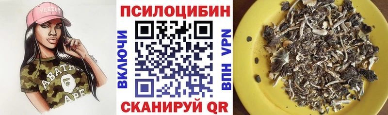 Галлюциногенные грибы GOLDEN TEACHER Пушкино