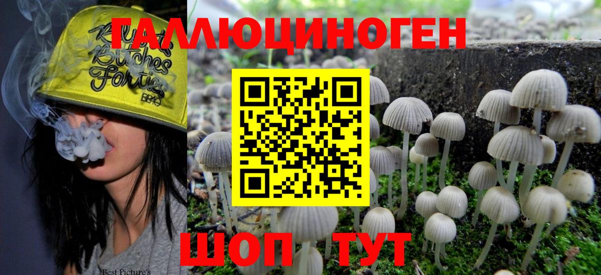 Пушкино  Галлюциногенные грибы Magic Shrooms  Вход с VPN 
