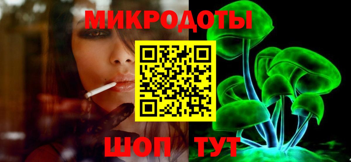 Галлюциногенные грибы Psilocybe Пушкино